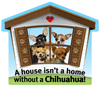 Chihuahua thumbnail