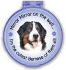 Mirror Mirror...Bernese thumbnail