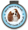 Mirror Mirror...Cavalier thumbnail