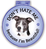 Don't Hate Me...Pit Bull thumbnail