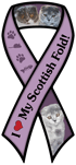 Scottish Fold thumbnail