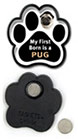 First Born...Pug thumbnail
