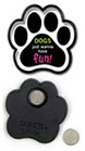 DOGS just wanna have fun! thumbnail
