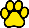 Solid - Yellow on Black thumbnail
