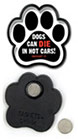 Dog can die in hot cars thumbnail