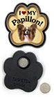 Papillon thumbnail