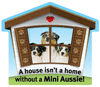 Mini Aussie thumbnail