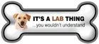 It's a Lab Thing... thumbnail