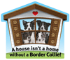 Border Collie thumbnail