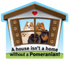 Pomeranian thumbnail