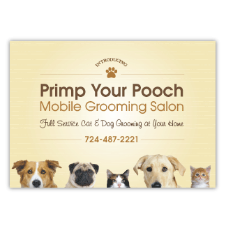 Peeping Pets thumbnail