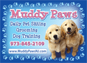 Puppies thumbnail