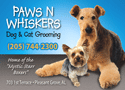 Airedale and Yorkie thumbnail