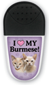 Burmese thumbnail