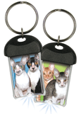 Cornish Rex thumbnail