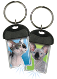 Sphynx thumbnail