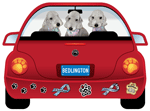 Bedlington Terrier thumbnail