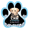 Diamond in the Ruff-Lab thumbnail