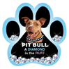 Diamond in the Ruff-Pit Bull thumbnail