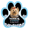 Diamond in the Ruff-Yorkie thumbnail