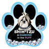 Diamond in the Ruff-Shih Tzu thumbnail