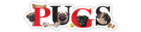 Pugs thumbnail