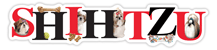 Shih Tzu thumbnail