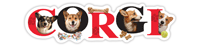 Corgi thumbnail