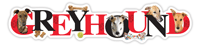 Greyhound thumbnail