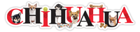 Chihuahua thumbnail