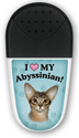 Abyssinian thumbnail