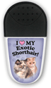 Exotic Shorthair thumbnail