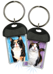 Calico Cat thumbnail