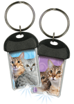 Egyptian Mau thumbnail