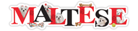 Maltese thumbnail