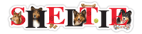 Sheltie thumbnail
