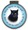 Mirror Mirror...Black Cat thumbnail