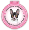 Mirror Mirror...Cornish Rex thumbnail