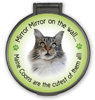 Mirror Mirror...Maine Coon thumbnail
