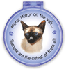 Mirror Mirror...Siamese thumbnail