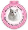 Mirror Mirror...Ragdoll thumbnail