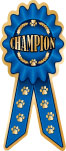 Champion thumbnail