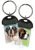 Saint Bernard thumbnail