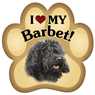 Barbet thumbnail