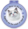 Mirror Mirror...Ragdoll 2 thumbnail