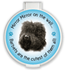 Mirror Mirror...Barbet thumbnail