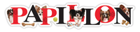 Papillon thumbnail