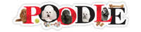 Poodle thumbnail