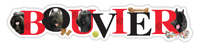 Bouvier thumbnail