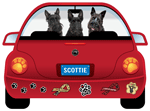 Scottie thumbnail